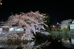 小田原城址