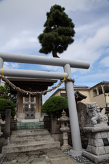 小田原_龍宮神社