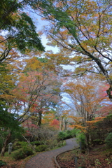 2024HAKONE_Reconstruction_1