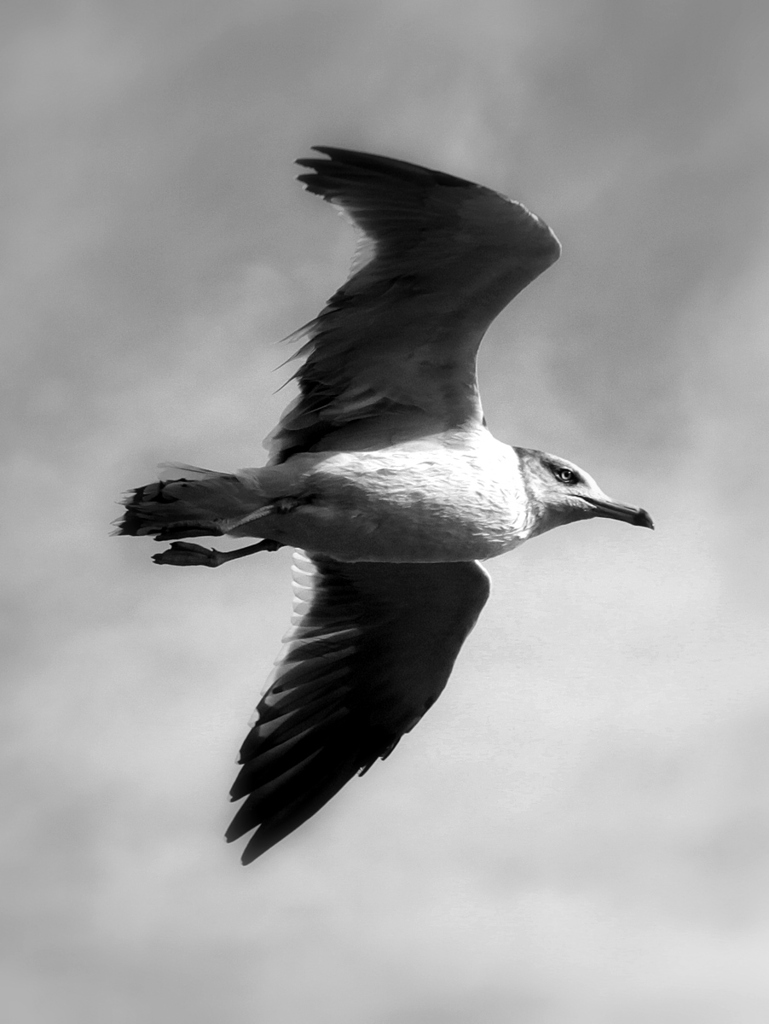 L'expression qui est de la matière minér