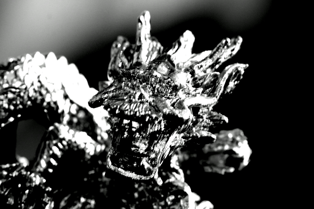 神龍（シェンロン）日光のお土産3