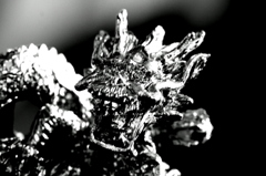 神龍（シェンロン）日光のお土産3