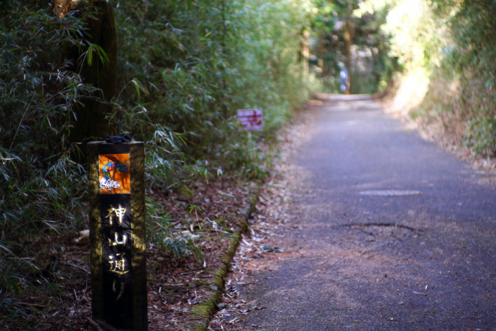 九頭竜神社へ！