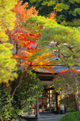 2025_湯河原万葉公園周辺3