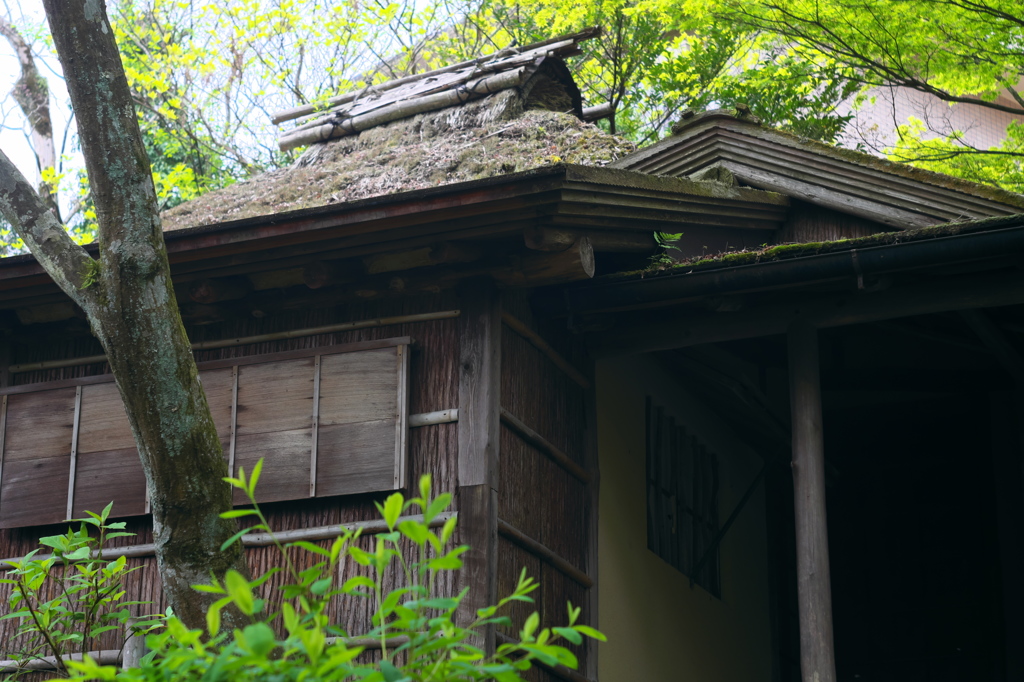 強羅公園_白雲洞