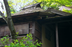 強羅公園_白雲洞