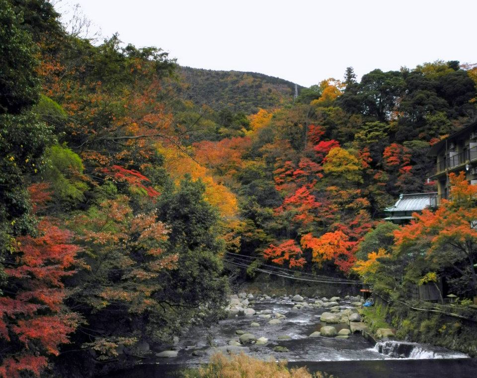 錦秋の箱根