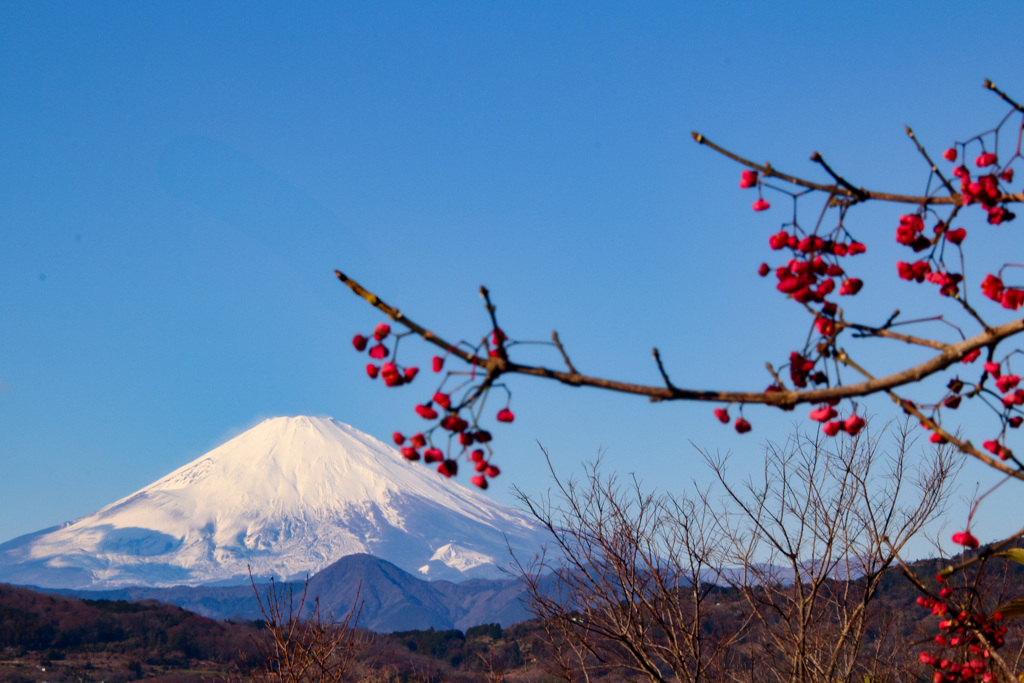 20250103初詣_富士山3