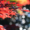 2024 hakoneitabashi1201_5
