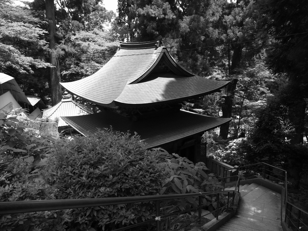 夏 最乗寺
