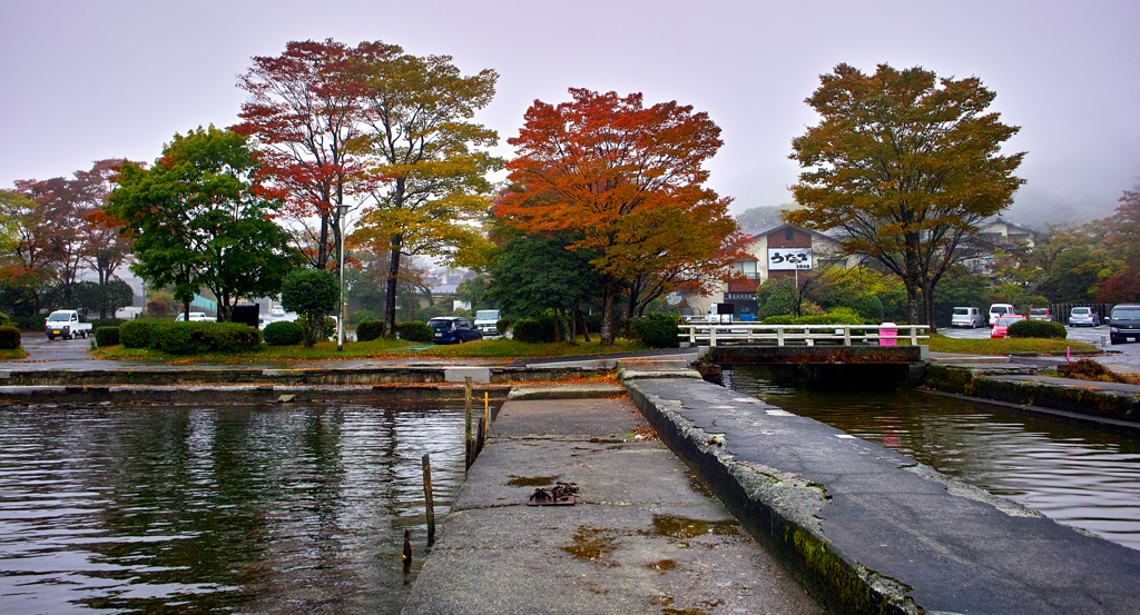 箱根２０１４紅葉