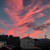 SIGMA DP2Xの虫干し2025_7