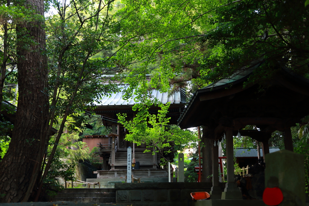 小田原_愛宕神社_1