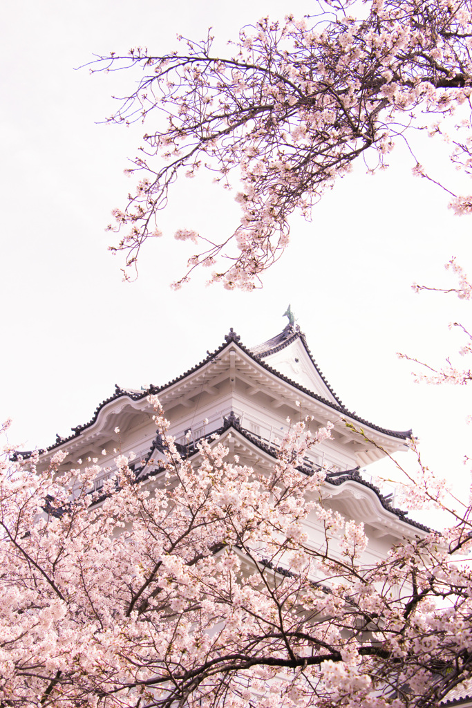 児童公園より