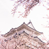 児童公園より