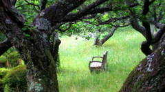 The bench where nobody sits