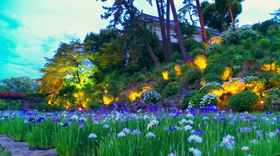 33923599_1122557344552405_61099036478841