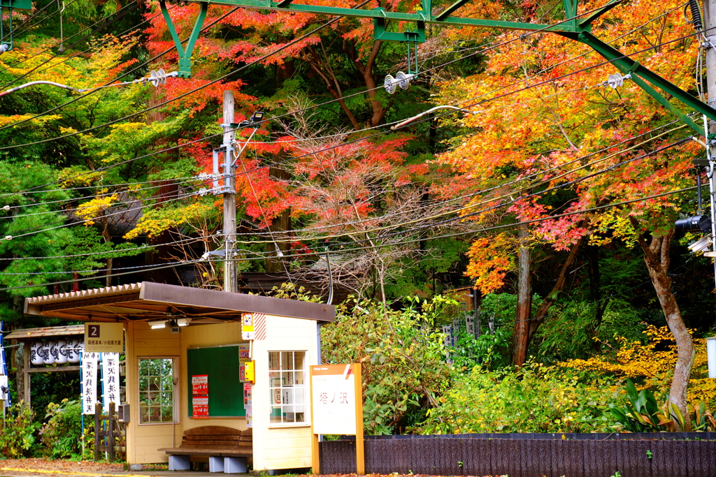 2018箱根紅葉_塔ノ沢