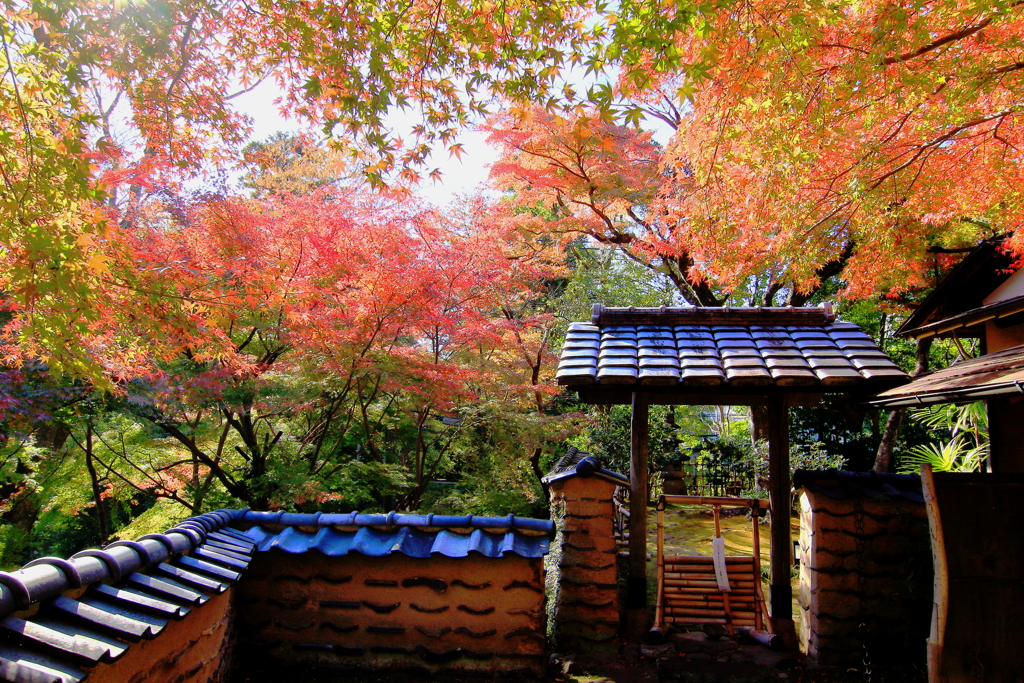 2024 hakoneitabashi1201_20