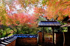 2024 hakoneitabashi1201_20