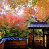 2024 hakoneitabashi1201_20