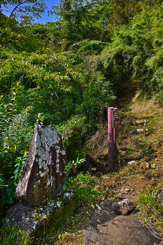 長尾峠