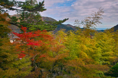 強羅_箱根美術館