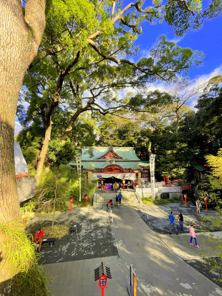 2022_来宮神社_ birdview