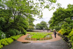 TEST_EF24mm-105  4L_2