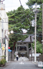 小田原_松原神社