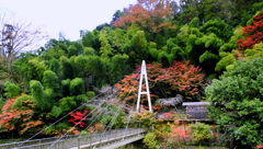 1-DSCN1204