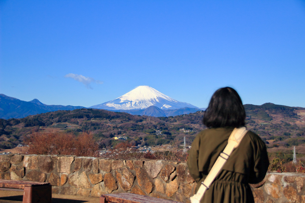 20250103初詣_富士山_５