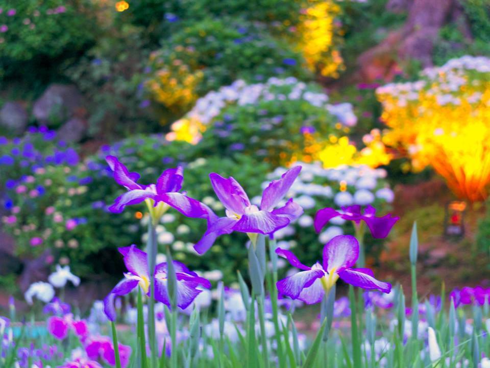 33850535_1122557351219071_10079078179626