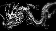 神龍（シェンロン）日光のお土産１