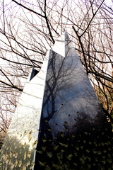 Sense of incongruity2