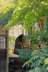 2024 hakoneitabashi1201_9