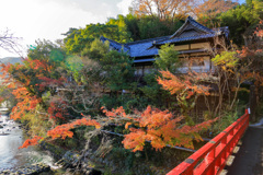 2025_湯河原_万葉公園2