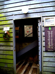 1-DSCN1309