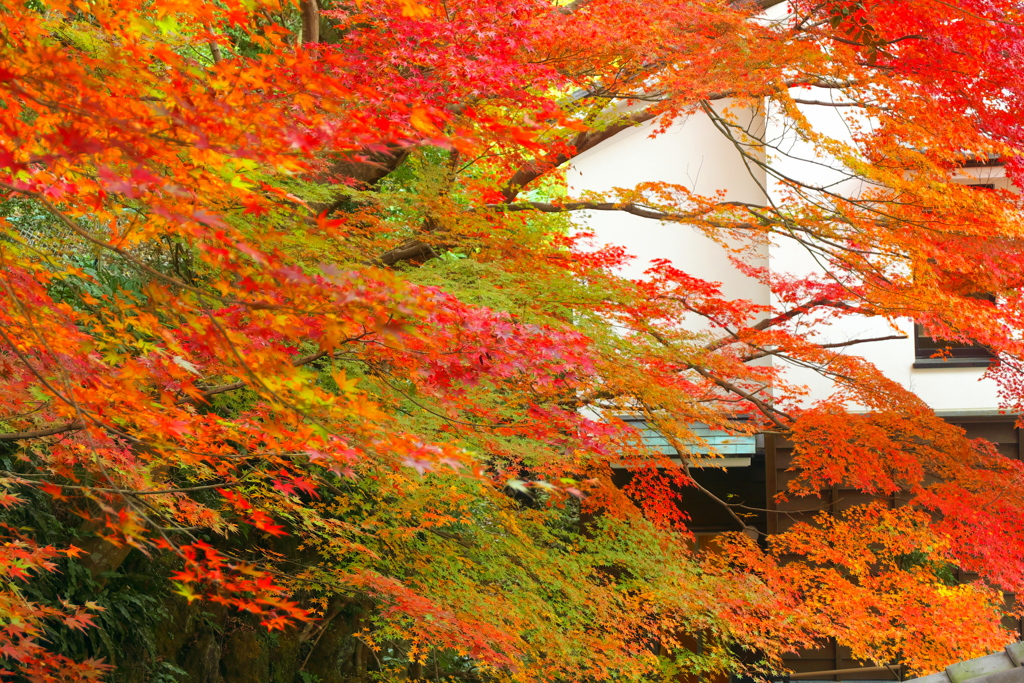 松永記念館