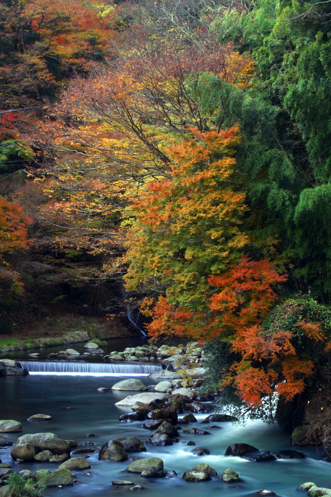 箱根_早川