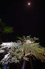 月夜