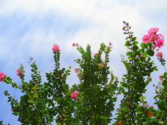 The summer that is not over