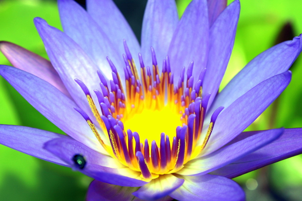 moment of the brightness