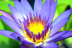 moment of the brightness