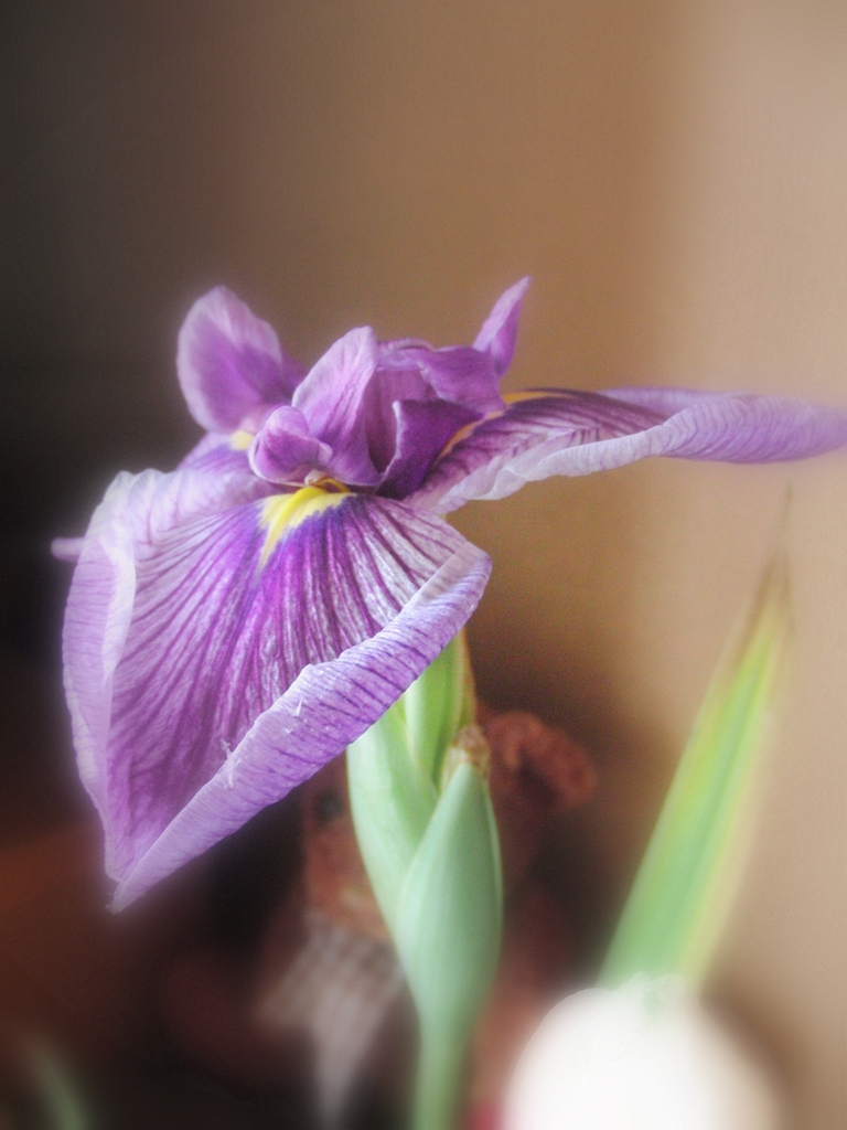 test_EX-FC100_1