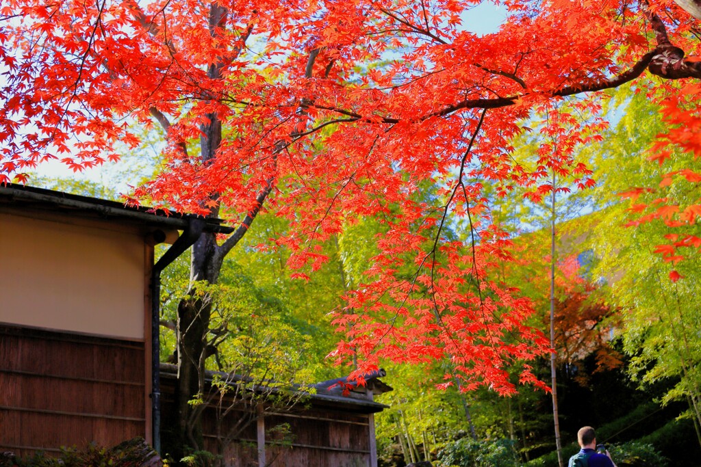 2025_箱根美術館8