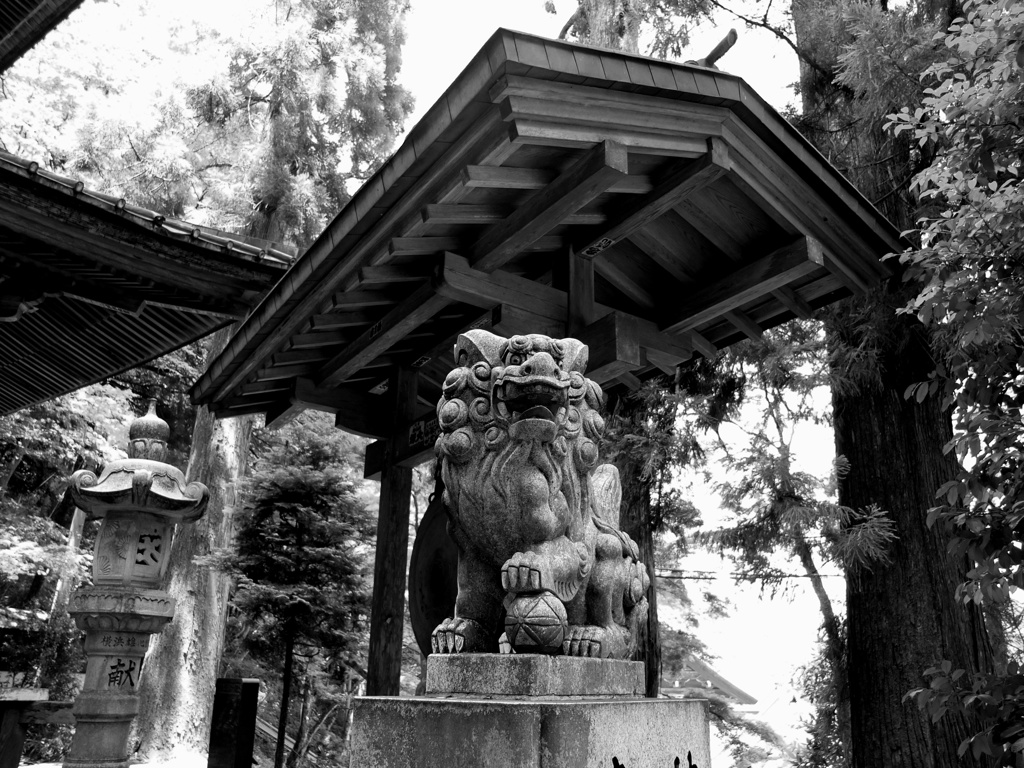 夏 最乗寺