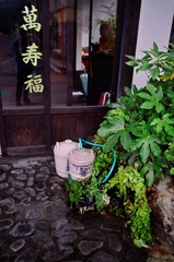 箱根湯本徘徊_老舗