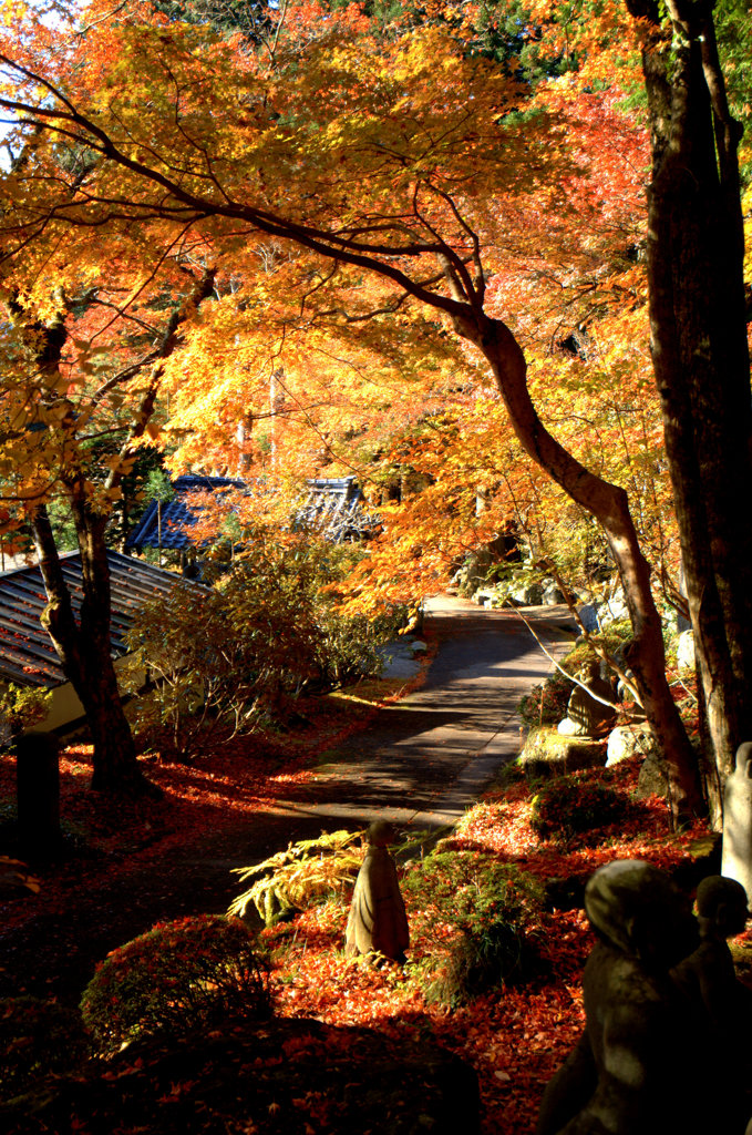 箱根_長安寺