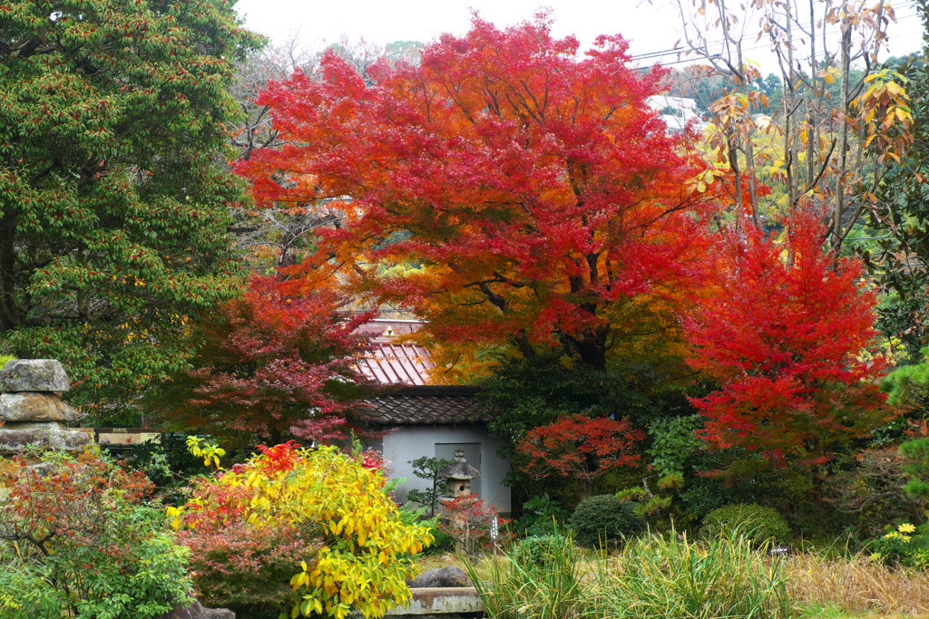 松永記念館